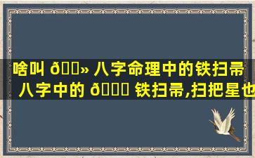啥叫 🌻 八字命理中的铁扫帚「八字中的 🐟 铁扫帚,扫把星也有大吉大利」